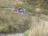 97516039-M.jpg