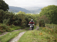 97601011-L.jpg