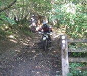 97513220-M.jpg