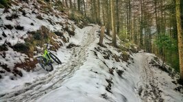 20180307_114018_001-01-01.jpg