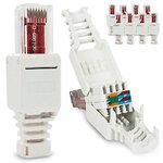 cat6.jpg