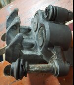 Caliper.JPG