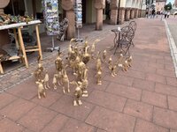 12F8E581-0587-47D3-A8AB-144D032233E1.jpeg