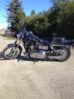 IMG_3642.JPG