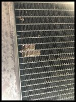 592FD967-7884-45EC-AEAA-66A4A1CC2AD0.jpg