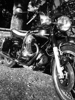 DB7242DA-E462-4D27-88B4-7F8D88204105.jpg