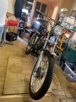 IMG_2729.jpg