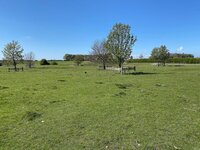IMG_0309.jpg