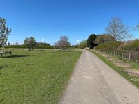 IMG_0310.jpg