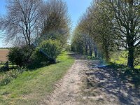 IMG_0313.jpg