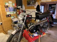 IMG_1952.jpg