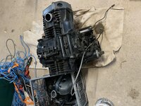AF92CE96-25CF-4F2C-81FC-7F50885BF6F3.jpg