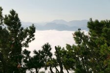 P1020034.jpg