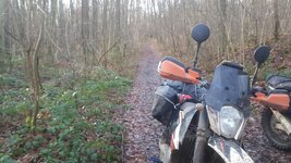 20200129_104954.jpg
