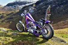 DSC_6293.jpg