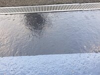20200811_174141.jpg