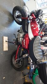IMG-20200913-WA0015.jpg