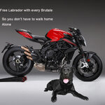 Brutale dog.jpg