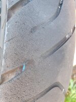 20200903_163339.jpg