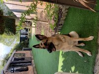 9ABEB3D0-ECD6-4D99-8ACE-C07670F4EDA1.jpg