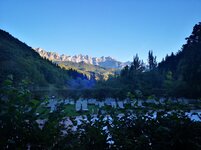 IMG_20200908_075910.jpg