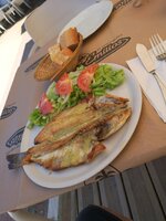 IMG_20200910_121549.jpg