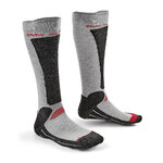 BMW Socks.jpg