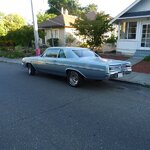 Sebastopol5.JPG