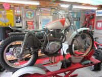 IMG_0384.jpg