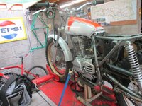 IMG_0387.jpg