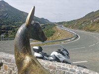 IMG_20200914_104938.jpg