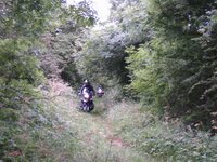 jim comes from the undergrowth_web.jpg