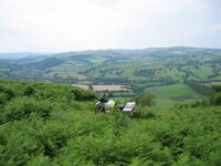img_6453.jpg