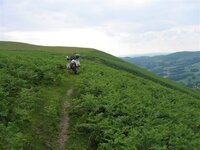 img_6456.jpg