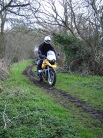 green lane 2.jpg