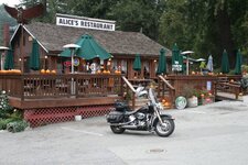 Harley at Alice`s.jpg