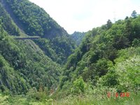 DSC01215.jpg