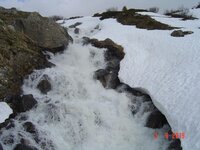 DSC01242.jpg