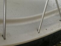 IMG_20200428_150027.jpg