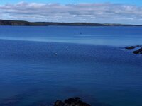 20201011_135127.jpg
