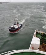 20200826_081135.jpg
