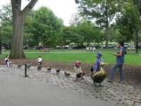 IMG_9311.jpg