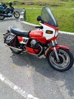 IMG_20200810_125636903.jpg