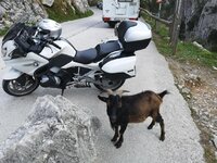 IMG_20200916_102559.jpg