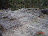 DSC03023.jpg
