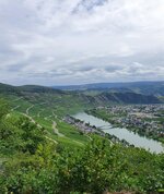 20200827_125119.jpg