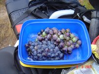 DSC02282.jpg