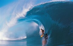 surfer.jpg