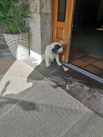 IMG_20200918_091644.jpg