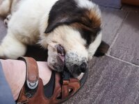 IMG_20200918_090223.jpg
